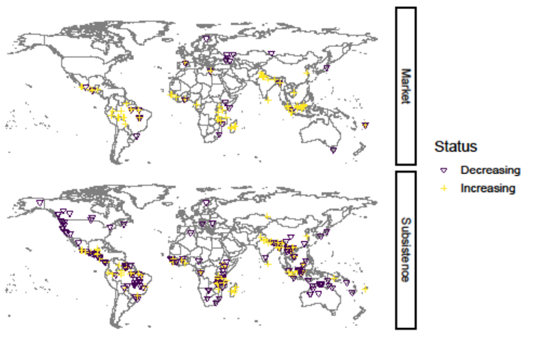 A diagram comparing prevalence of subsistence- and market-oriented fire use on two world maps.