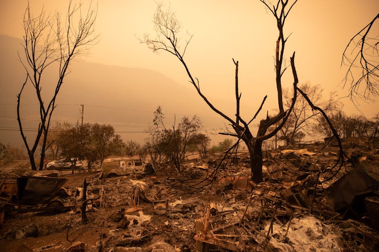 Burnt trees and ash litter the ground under an orange smoke-filled sky.