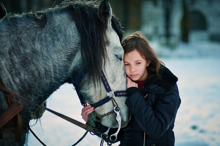 White and grey horse snuggling up to a young girl