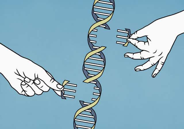 Permiso Caso Wardian Drástico Descubrimientos Sobre El Genoma Humano Grado Cañón Teoría