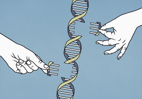 El código del genoma humano por fin está completo