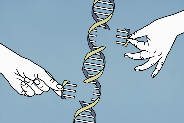 Ilustración de dos manos insertando o sacando trozos de ADN de una cadena de doble hélice