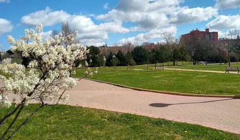 Así afectan los árboles de las ciudades a las alergias primaverales Así afectan los árboles de las ciudades a las alergias primaverales