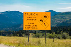 A board cautioning commuters to keep an eye out for crossing wildlife in the wildlife corridor.