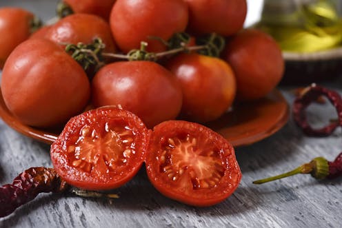 Historia del tomate: del desprecio de las élites al éxito industrial Historia del tomate: del desprecio de las élites al éxito industrial