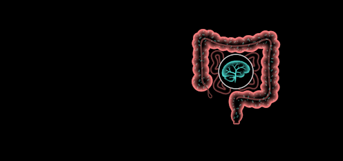 Así es la microbiota de una persona con depresión Así es la microbiota de una persona con depresión