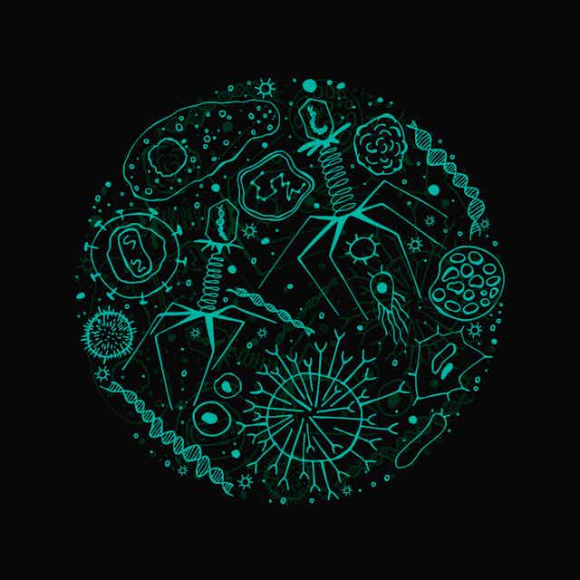 Illustration of microorganisms and viruses outlined in teal against a black background