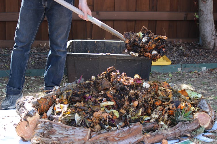 Shovelling backyard compost