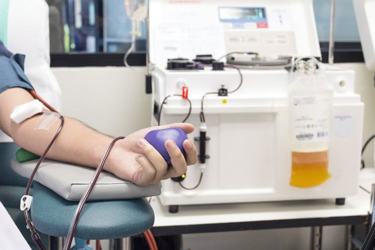 A person's arm is attached to tubes as they donate plasma.