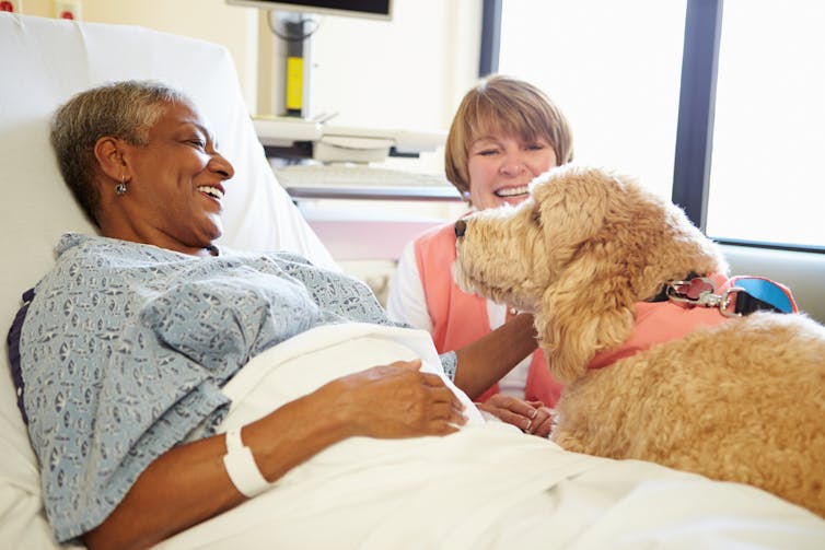 A woman in a hospital bed, in a hospital gown, smiles and pets a fluffy dog as another woman looks on.