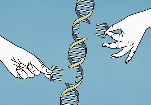 Illustration de deux mains insérant ou retirant des morceaux d'ADN d'un brin à double hélice.
