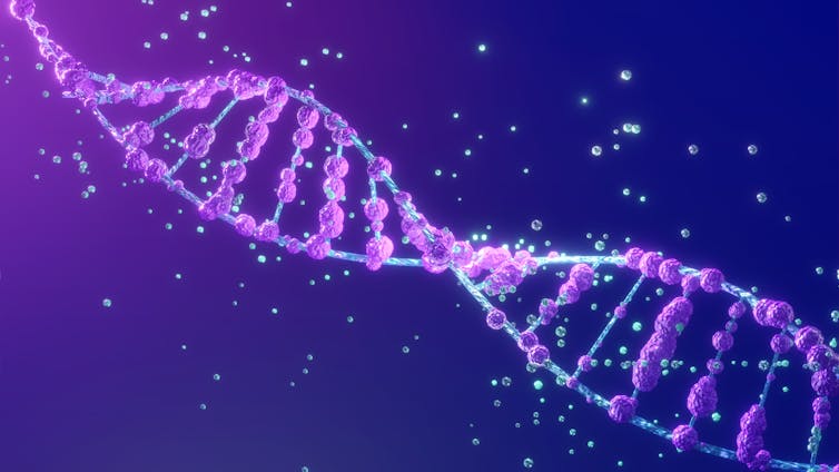 ALS is only 50% genetic – identifying DNA regions affected by lifestyle and environmental risk factors could help pinpoint avenues for treatment
