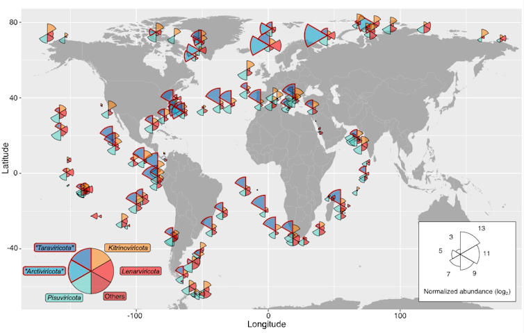 World map showing the distribution and abundance of RNA virus phyla.