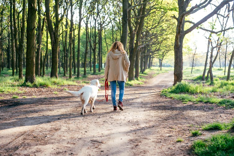 Woman walking dog in wooded area