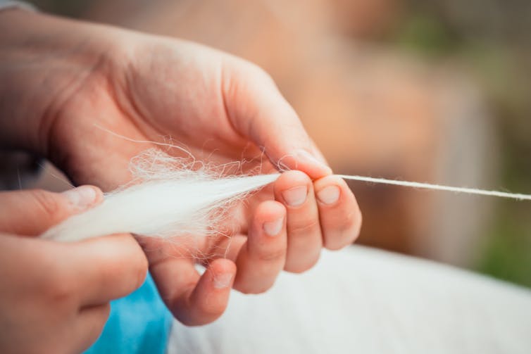 Hand holding raw wool spinning it into yarn.