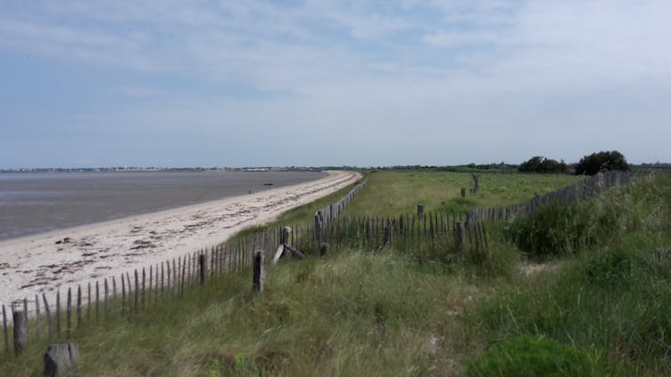 Marais d’Yves en Charente maritime. Préserver des espaces naturels entre la mer et les activités humaines permet non seulement de réduire les risques lors de tempêtes, mais également de protéger la biodiversité. Gonéri Le Cozannet, CC BY-NC-ND