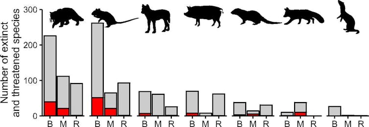 Sagome di specie predatrici sopra i grafici a barre che rappresentano le specie minacciate che uccidono.