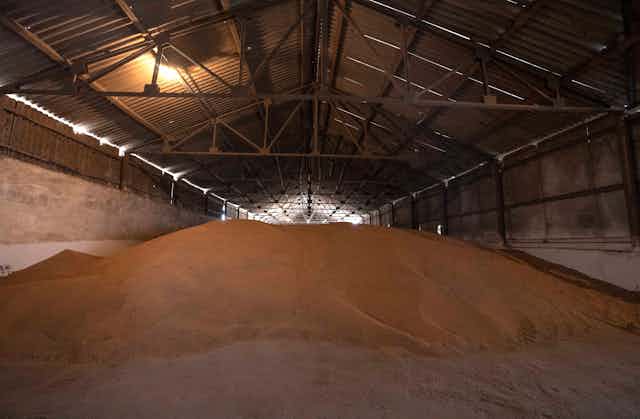 A pile of wheat in a warehouse. 