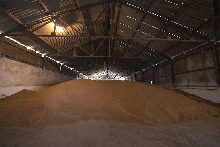 A pile of wheat in a warehouse.