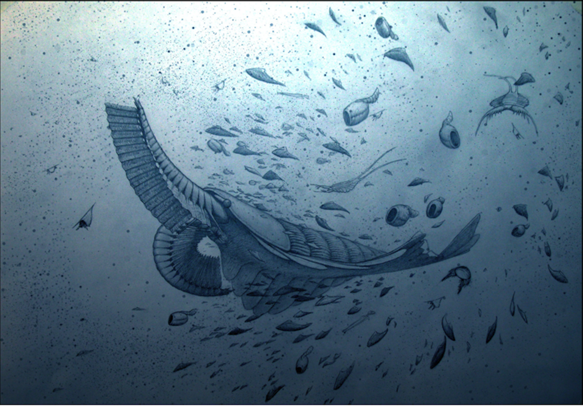 Scientists at work revealing strange fossils from the first carnival