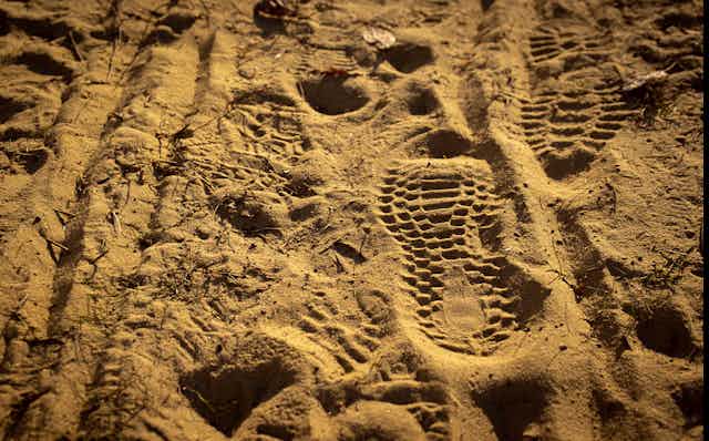 shoe prints in sandy soil