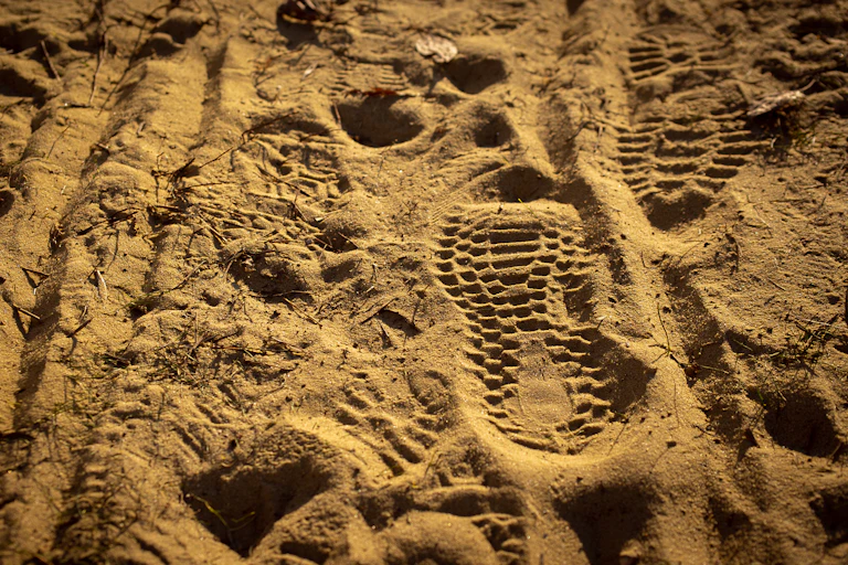 shoe prints in sandy soil