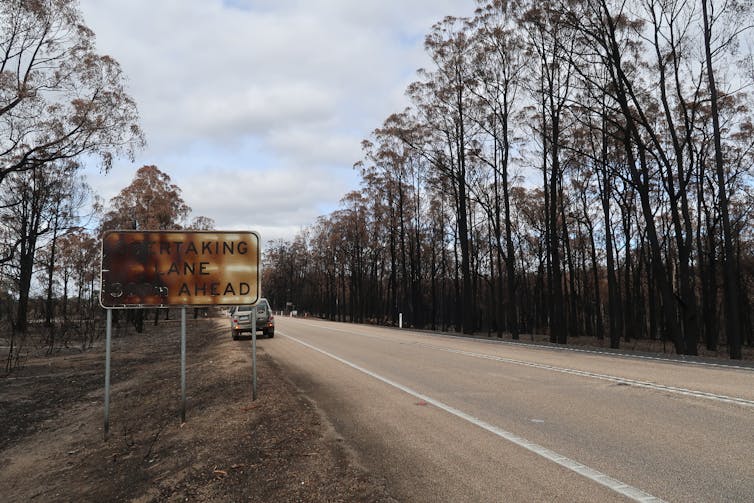 Burnt road sign & bushland