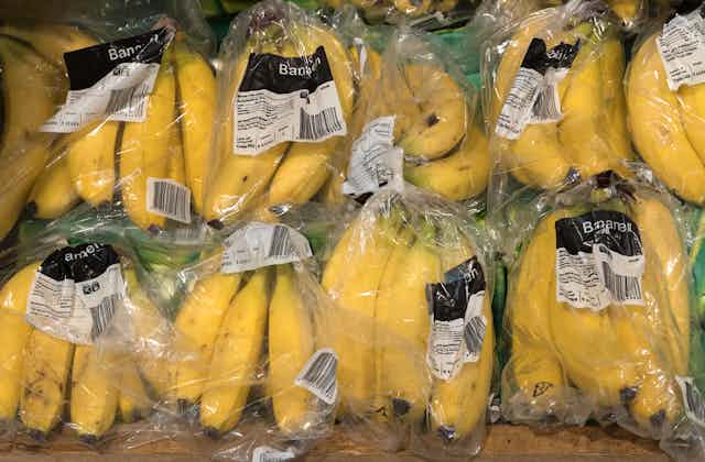 Packaged bananas in rows