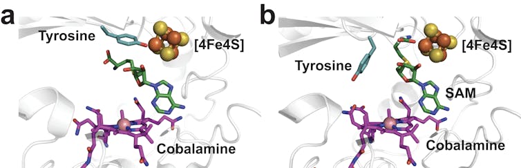 Structure 3d, sous forme de rubans et de boucles repliées sur eux-même