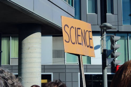 ¿Confían los investigadores en los estudios sobre la covid-19? ¿Confían los investigadores en los estudios sobre la covid-19?