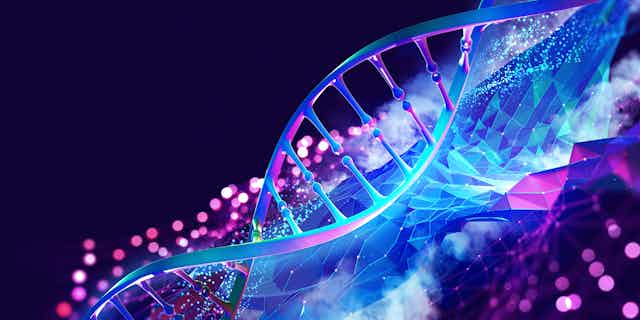 Vue 3D d'une hélice d'ADN