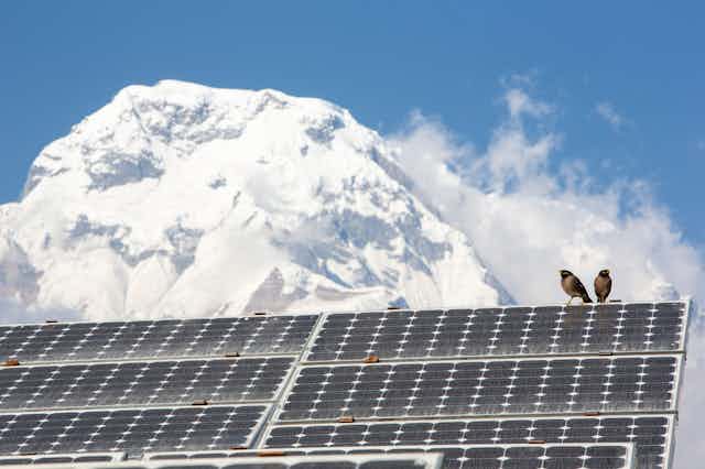 Two birds sit on a solar panel with a snowy mountain in the background.