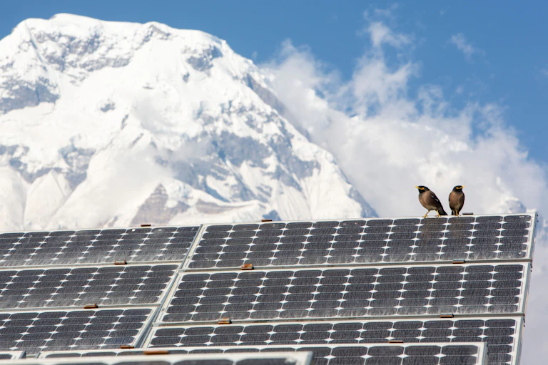 Two birds sit on a solar panel with a snowy mountain in the background.