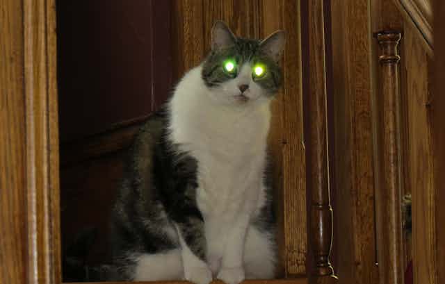 A cat, sitting atop a stairwell, with brightly glowing green eyes