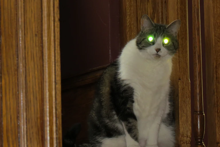 A cat, sitting atop a stairwell, with brightly glowing green eyes