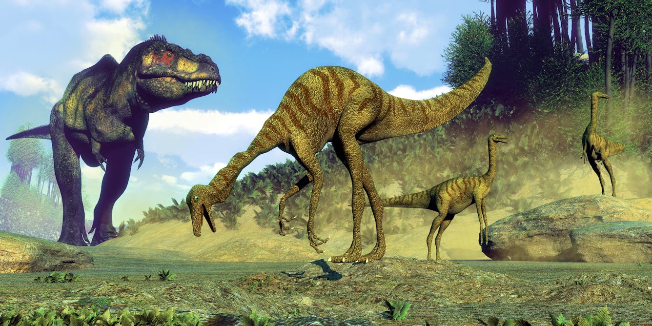 The discovery of two giant dinosaur species solves the mystery of missing  apex predators in North America and Asia