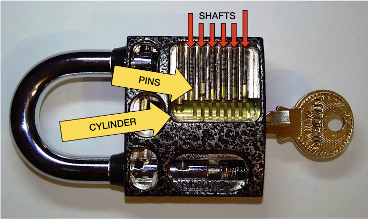 A lock with its inner-workings exposed. Labeled are the shafts, pins and cylinder.