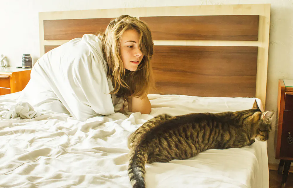 Why does my cat wake me up so early, and what can I do about it?