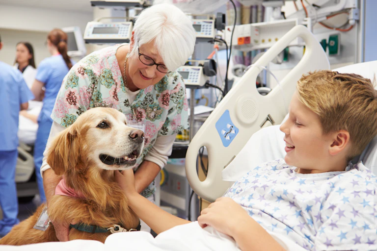 Therapy dog visiting young male patient in hospital