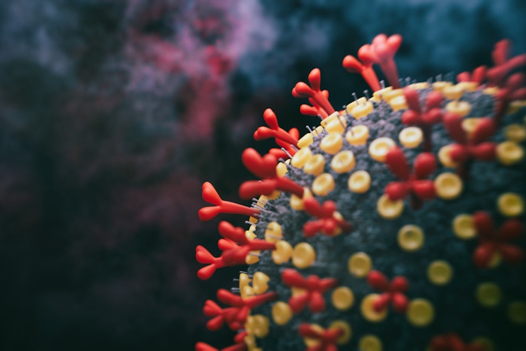 Graphic of the COVID virus