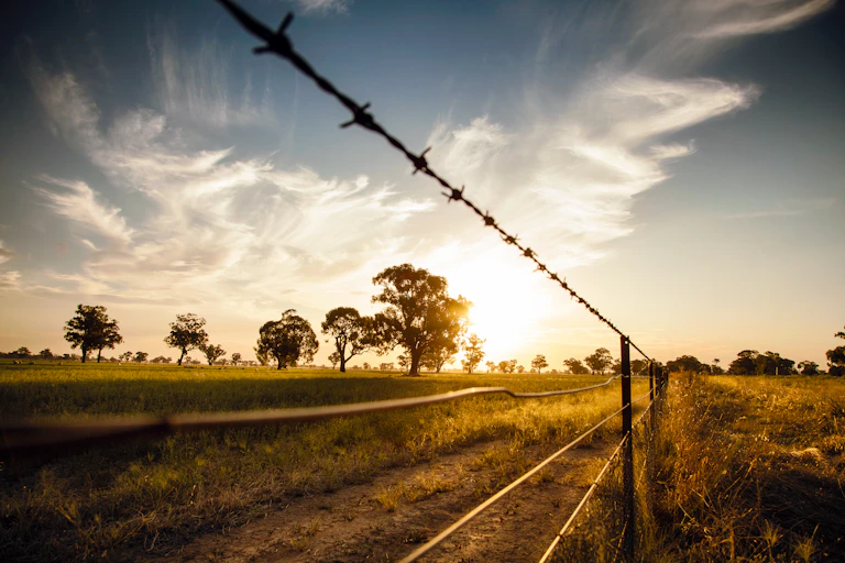 trees and pasture through wire fence