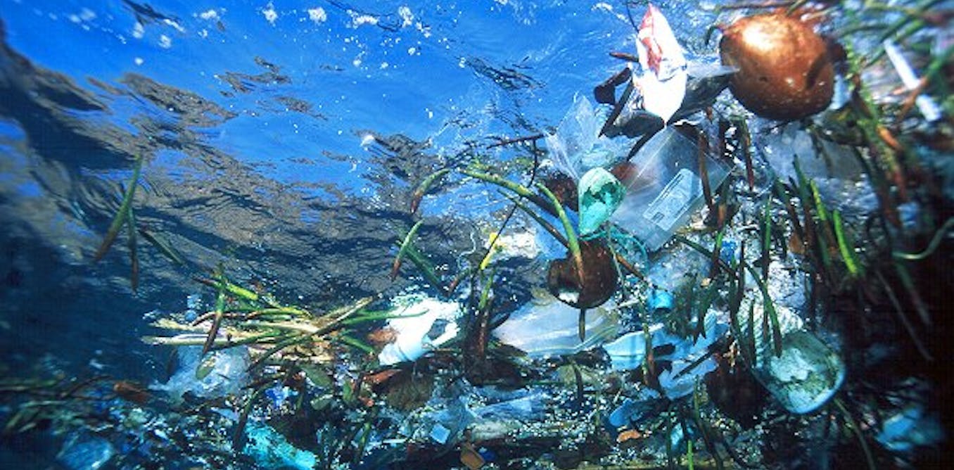 На какие экологические сообщества подразделяют мировой океан. Загрязнение мирового океана. Пластик в океане. Экология морей и океанов. Загрязнение вод мирового океана.