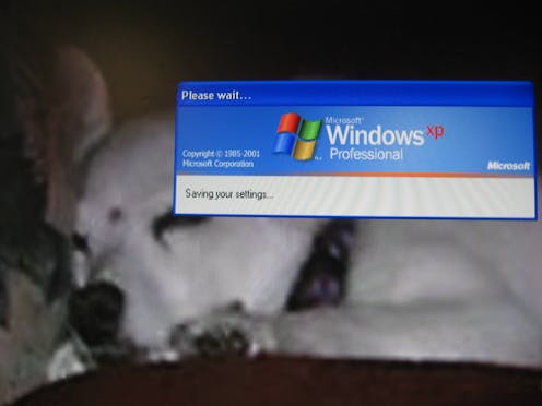 Open Source Gives New Life To Old Windows Xp Machines