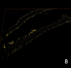 A black square with very faint streaks of yellow particles