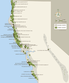 Map showing historic and current distribution of coast redwoods.