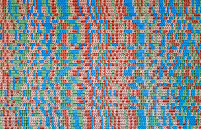 A photo of unaligned DNA sequences displayed on an LCD monitor screen.