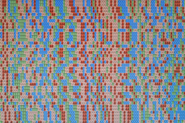 A photo of unaligned DNA sequences displayed on an LCD monitor screen.