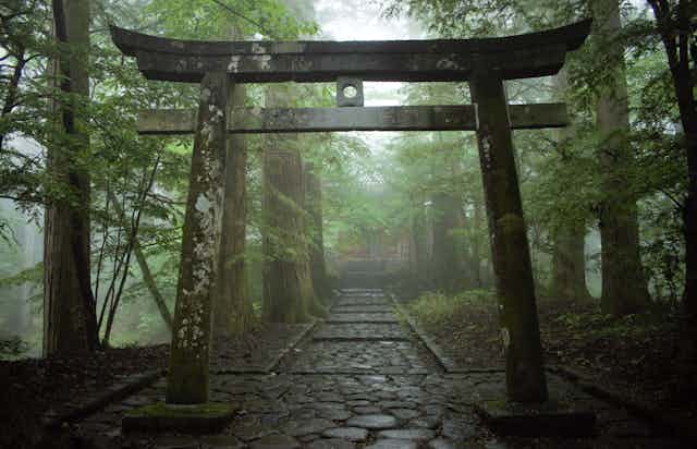 Japanese torii Shinto shrine gate in the forest