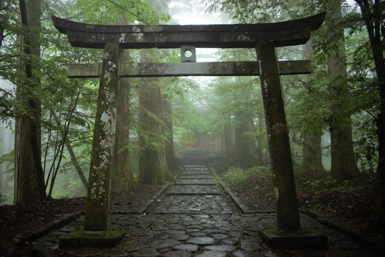 Japanese torii Shinto shrine gate in the forest