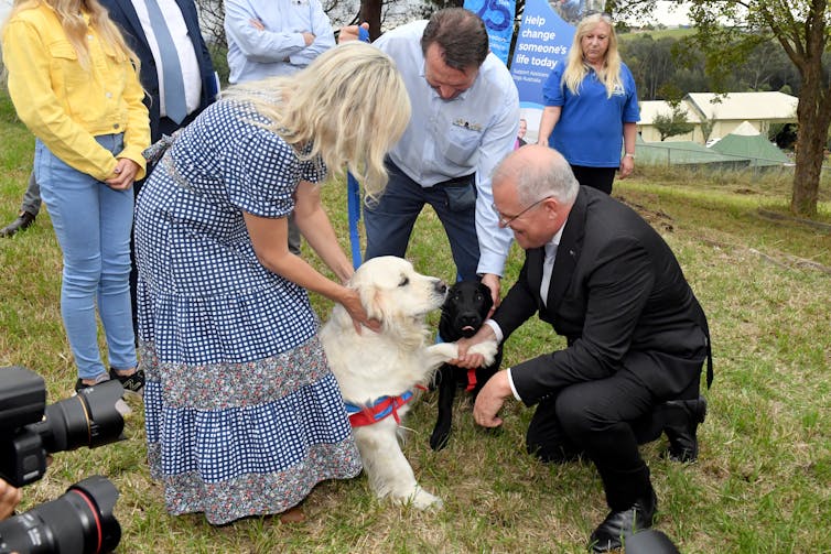 Prime Minister Scott Morrison shakes hands with Shannie the golden retriever